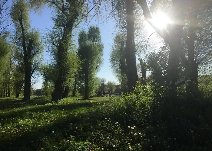Andadoana *