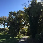 Andadoana *